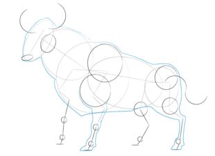 How to draw: Bull 7