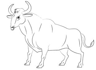 How to draw: Bull 9