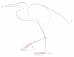 How to draw: Heron