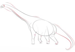 How to draw: Brachiosaurus 5