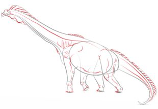 How to draw: Brachiosaurus 6