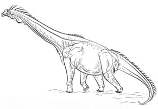 How to draw: Brachiosaurus 7