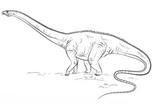 How to draw: Diplodocus
