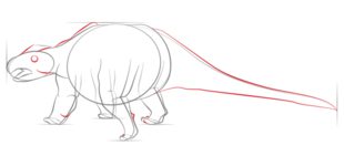Zeichnen Tutorial: Ankylosaurus 5