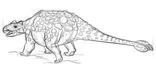 Zeichnen Tutorial: Ankylosaurus 7