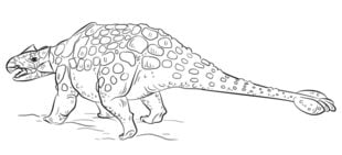 Zeichnen Tutorial: Ankylosaurus