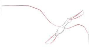 Tutorial de dibujo: Pteranodon 3