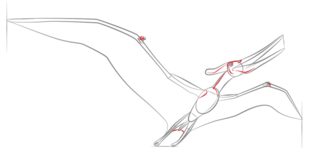 Tutorial de dibujo: Pteranodon