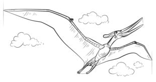 Tutorial de dibujo: Pteranodon 7