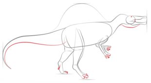 Zeichnen Tutorial: Spinosaurus 5
