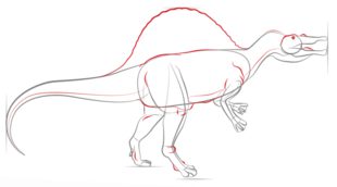 Zeichnen Tutorial: Spinosaurus 6