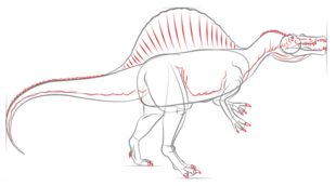 Zeichnen Tutorial: Spinosaurus 7