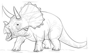 Come disegnare: Triceratops 8