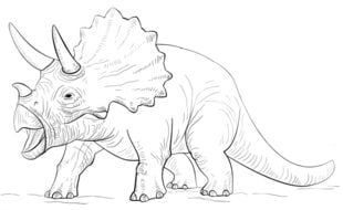Come disegnare: Triceratops 9
