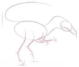 How to draw: Velociraptor 3