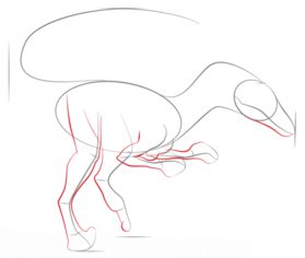 How to draw: Velociraptor 4