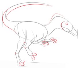 How to draw: Velociraptor 5