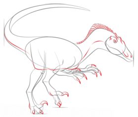 Comment Dessiner: Velociraptor 6