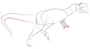 Tutorial de dibujo: Dinosaurio 5