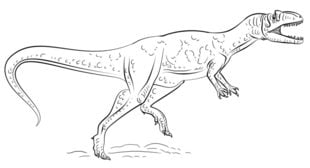 Tutorial de dibujo: Dinosaurio 8