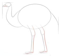 How to draw: Emu 4