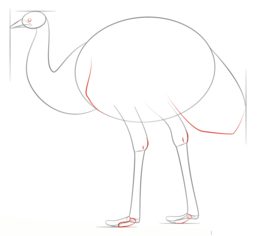 How to draw: Emu 5