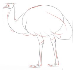 How to draw: Emu 6