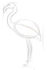 Zeichnen Tutorial: Flamingo