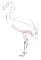 Zeichnen Tutorial: Flamingo