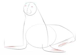 How to draw: Seal