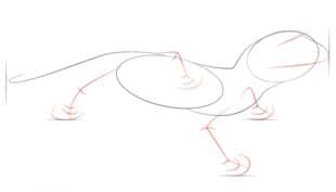 Come disegnare: Gecko 3