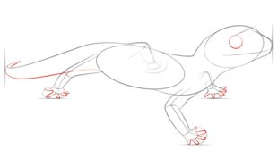 How to draw: Gecko lizard