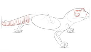 How to draw: Gecko lizard