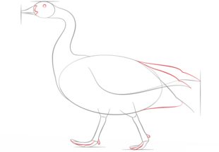 How to draw: Goose