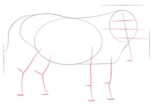 Zeichnen Tutorial: Warzenschwein 3