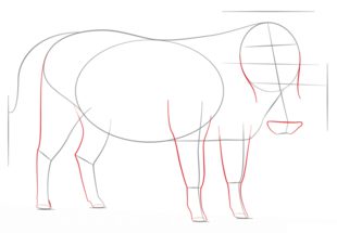 Zeichnen Tutorial: Warzenschwein 4