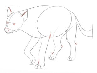 How to draw: Hyena 6