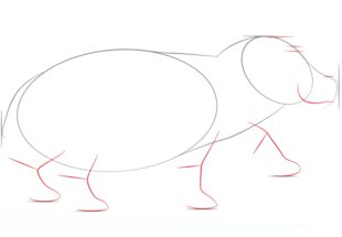 Zeichnen Tutorial: Flusspferd