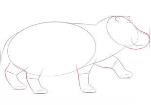 Zeichnen Tutorial: Flusspferd 4