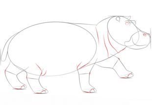Come disegnare: Ippopotami