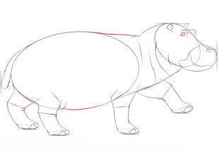 Zeichnen Tutorial: Flusspferd