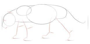 Come disegnare: Giaguari 3