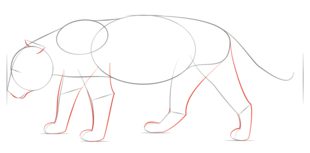 Come disegnare: Giaguari