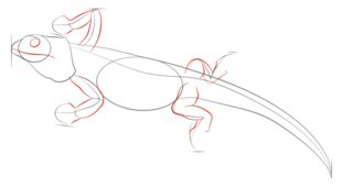 How to draw: Lizard