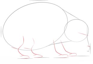 How to draw: Hedgehog 3