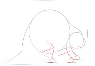How to draw: Porcupine