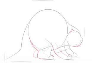 How to draw: Porcupine