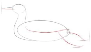 Zeichnen Tutorial: Ente 3