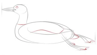 Zeichnen Tutorial: Ente 5