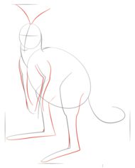 Zeichnen Tutorial: Känguru 4